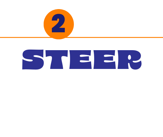 Steer